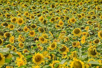 《心灵杀手2》全新概念艺术图 黑夜森林阴森恐怖